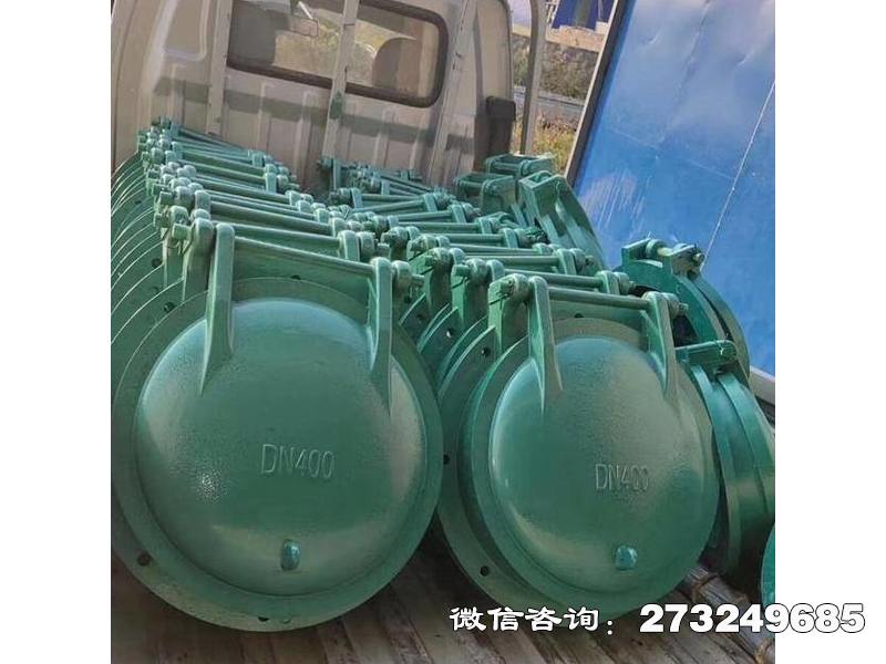 宜章县污水管玻璃钢拍门