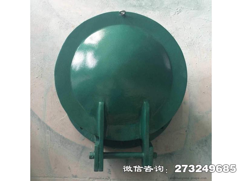 桥西玻璃钢圆形拍门