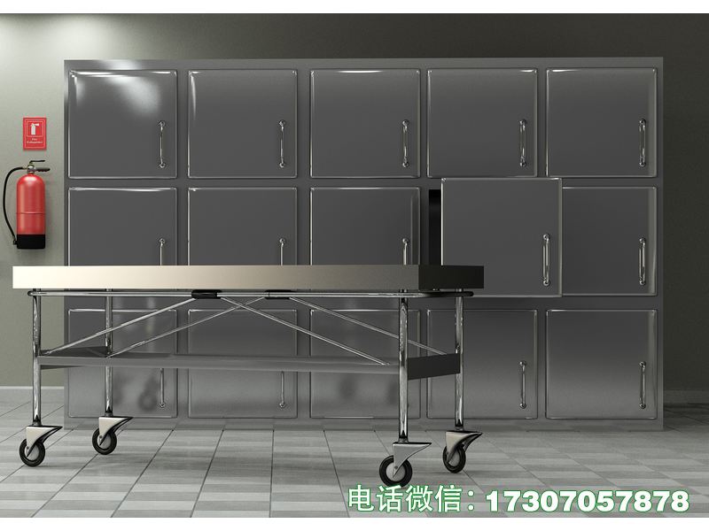 死尸冷冻柜深低温制冷，防腐保鲜效果好，适配殡葬场所死尸长期冻存、杜绝变质腐败。