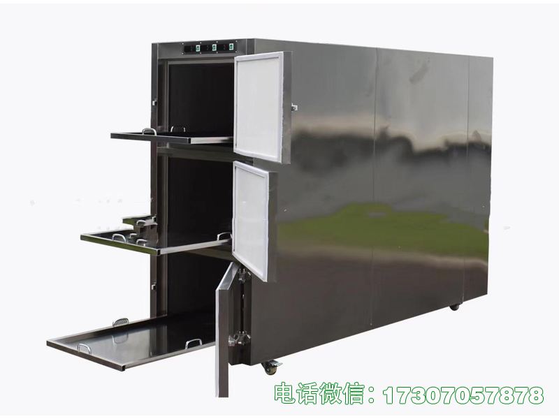 放尸体的冷柜专为尸体存放定制，容量适配、制冷达标，适配殡葬场所尸体基础冷藏需求。