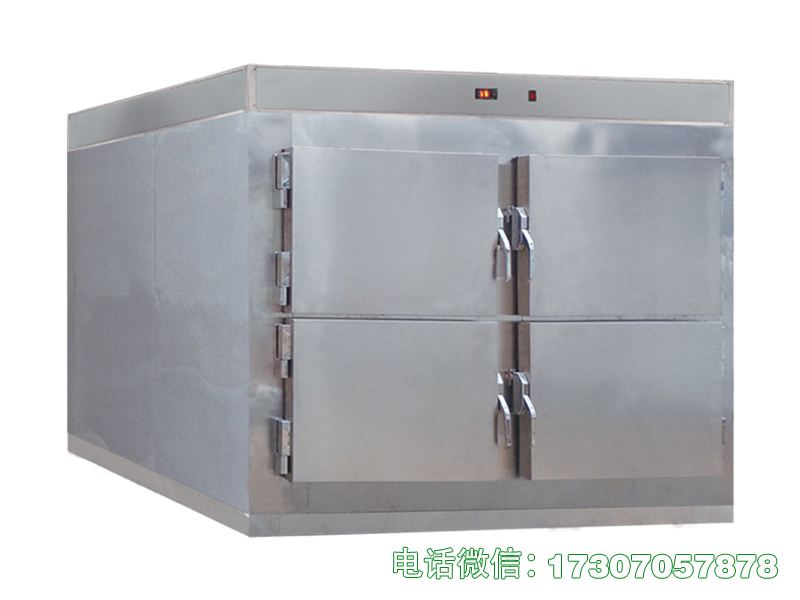 殡葬遗体冷冻柜专为殡葬场景打造，深低温制冷强劲持久，恒温控温精准，可有效延缓遗体变质，适配殡仪馆、太平间各类遗体长期冷冻保存需求，密封性强无异味外泄。